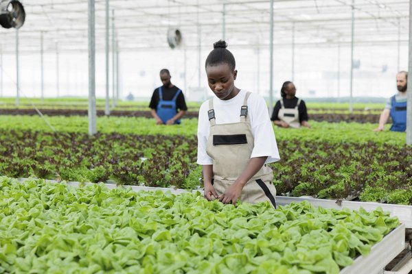 Quelles méthodes pour gérer le changement organisationnel ?
