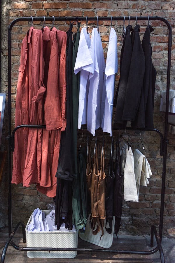 Avis tunetoo : les vérités que vous devez connaître !